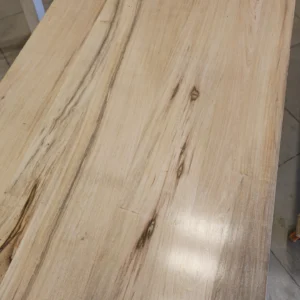 Mesa Soita